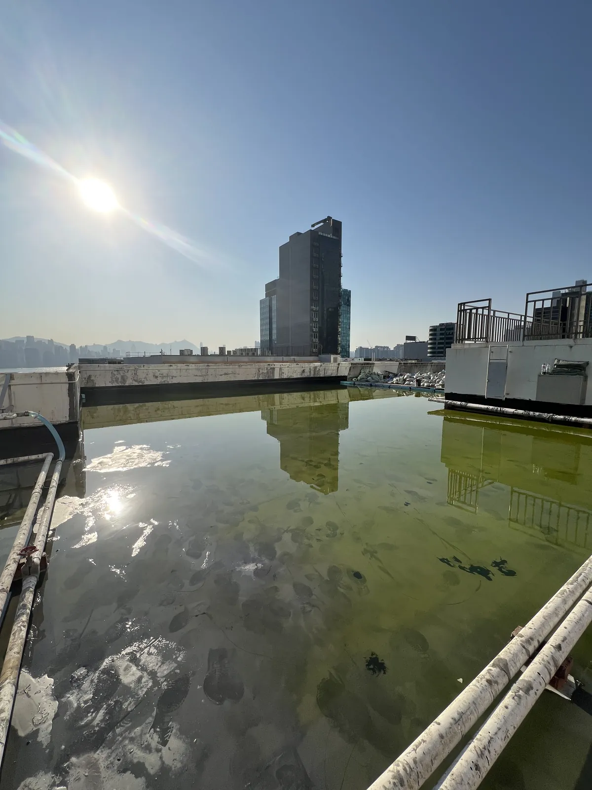 觀塘鴻運工業大廈工程：天台範圍大面積積水的現場狀況